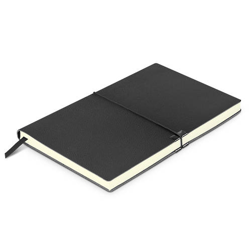 Samson Notebook